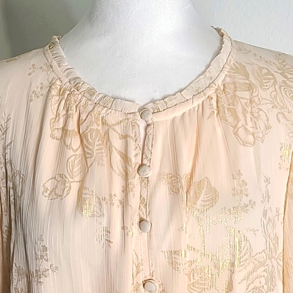 Lauren Conrad Pale Peach Blouse Sheer Overlay, Gold Etched Roses, Sz Large, NWT - Picture 3 of 11